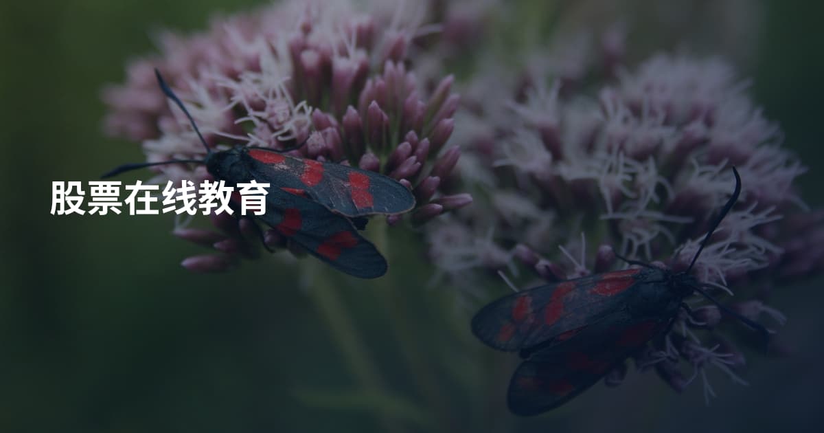股票在线教育