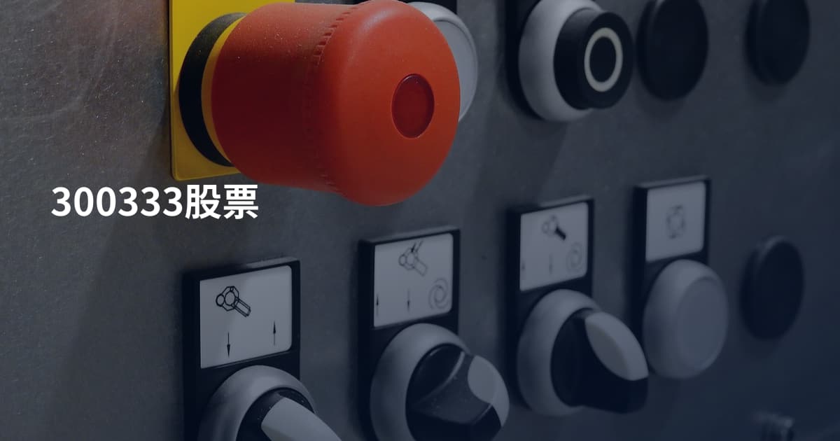 300333股票