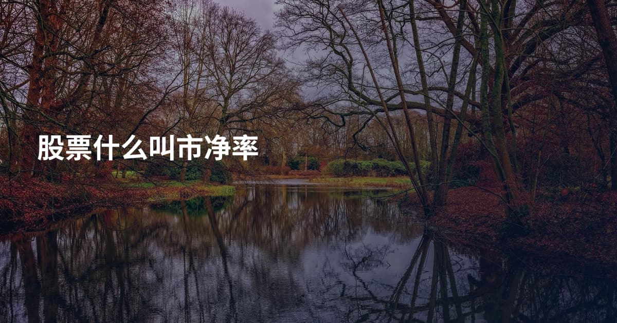 股票什么叫市净率