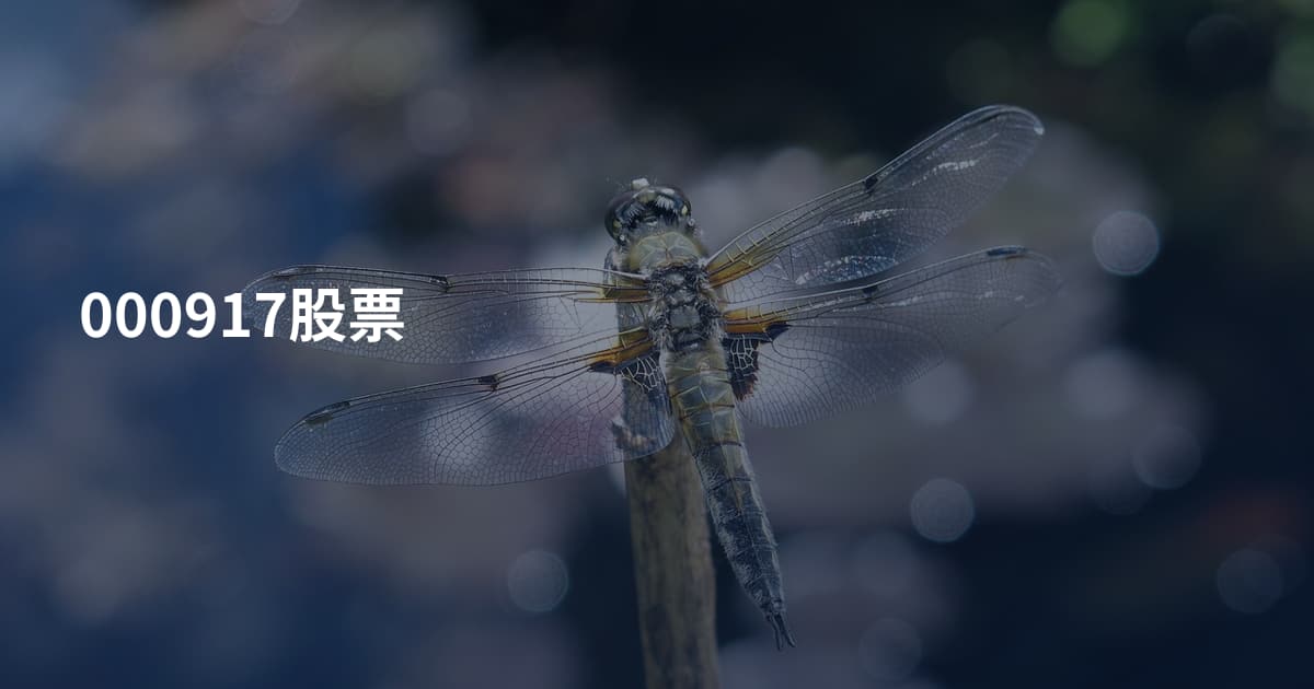 000917股票