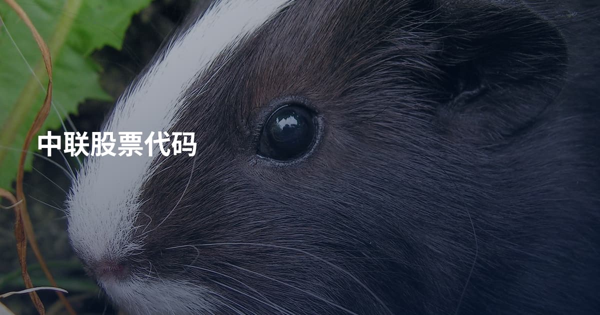 中联股票代码