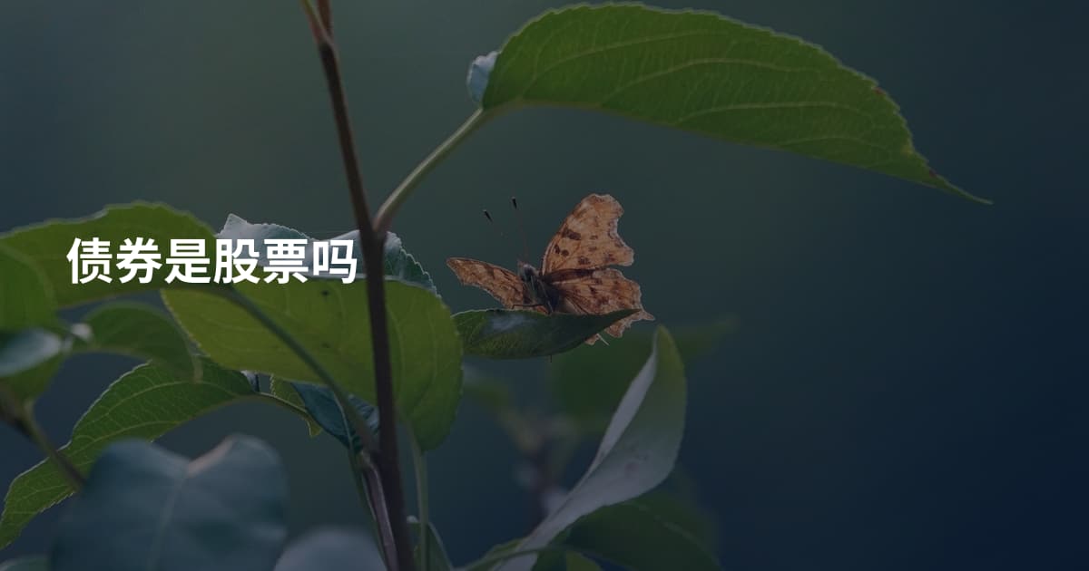 债券是股票吗