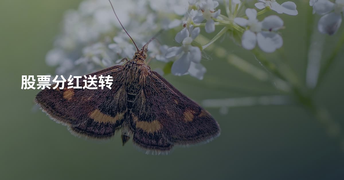 股票分红送转