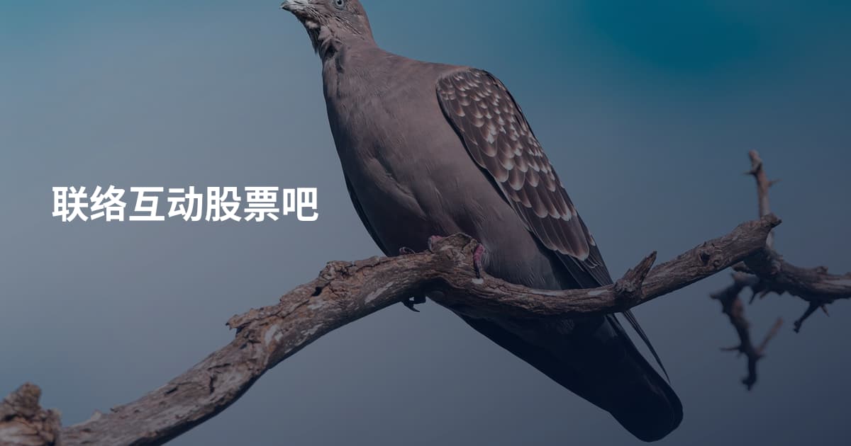 联络互动股票吧