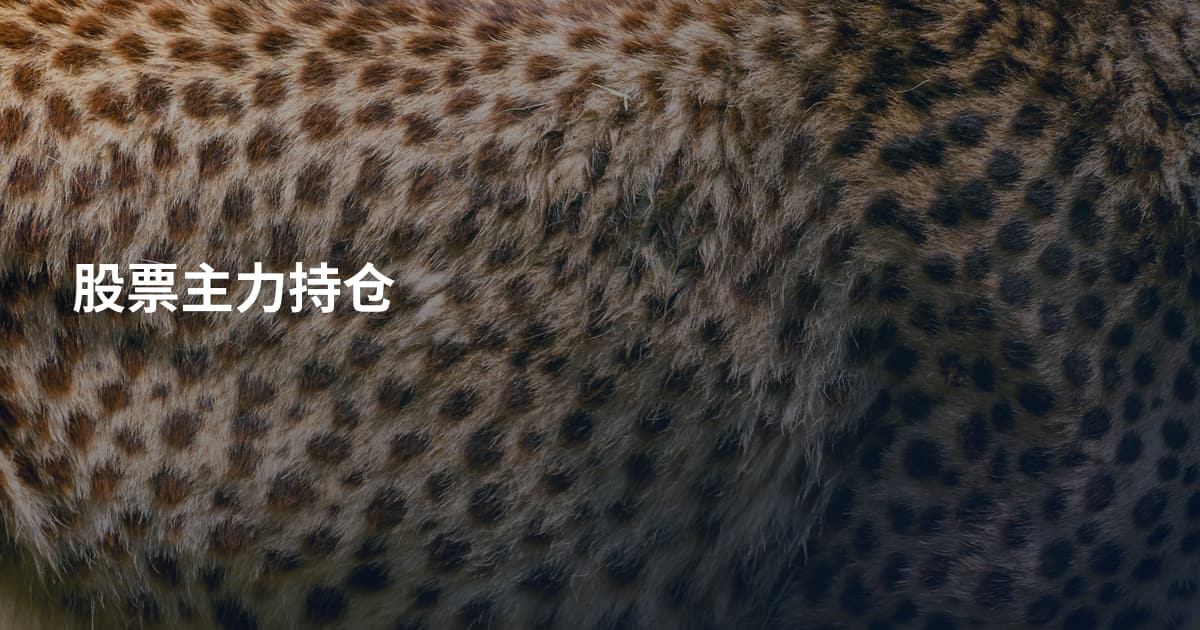 股票主力持仓