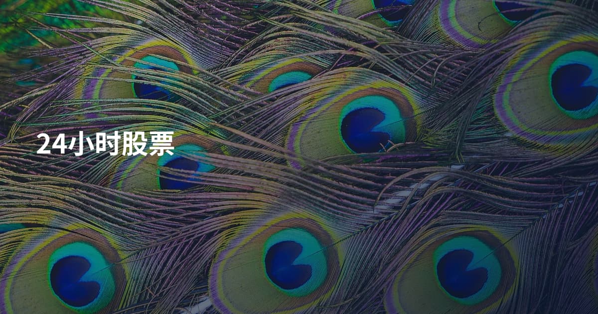24小时股票