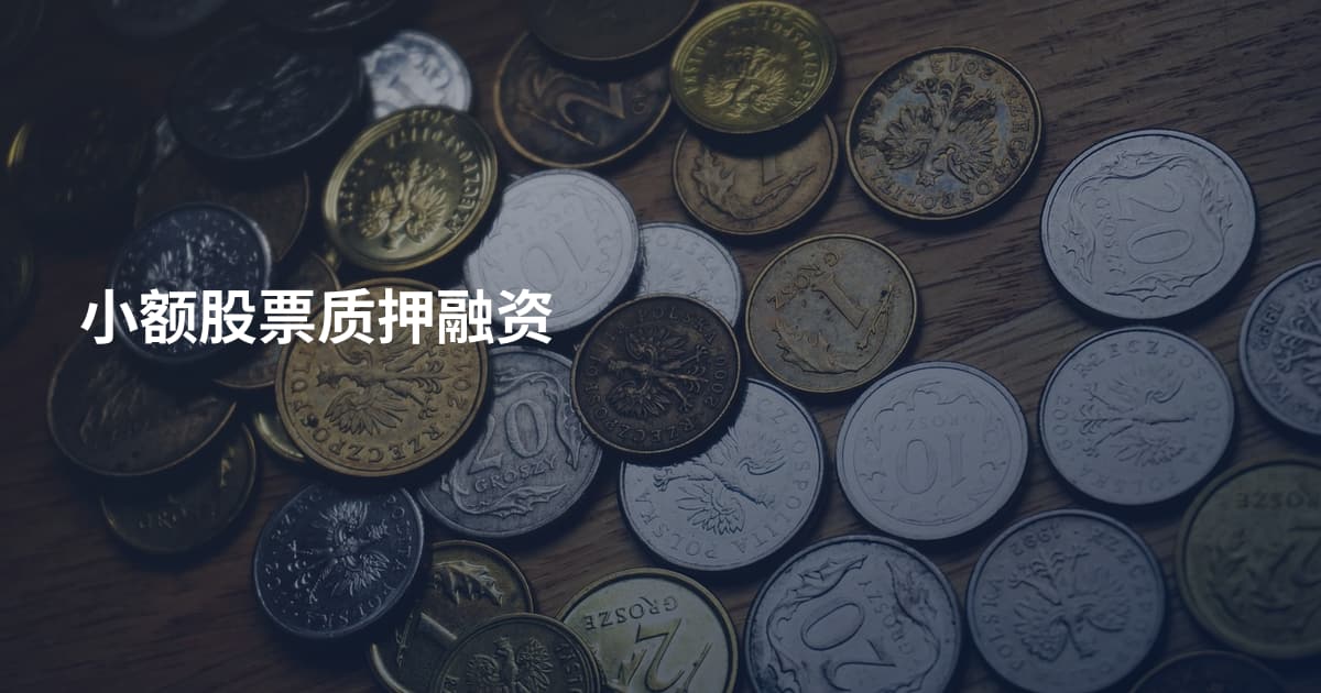 小额股票质押融资
