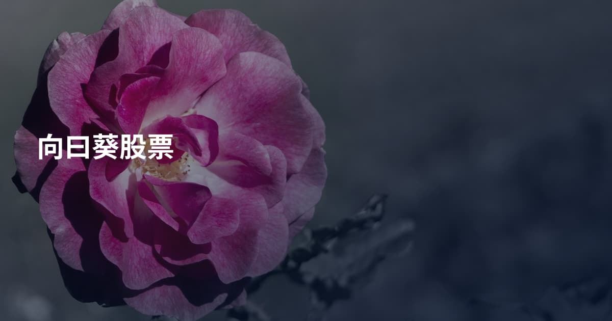 向曰葵股票