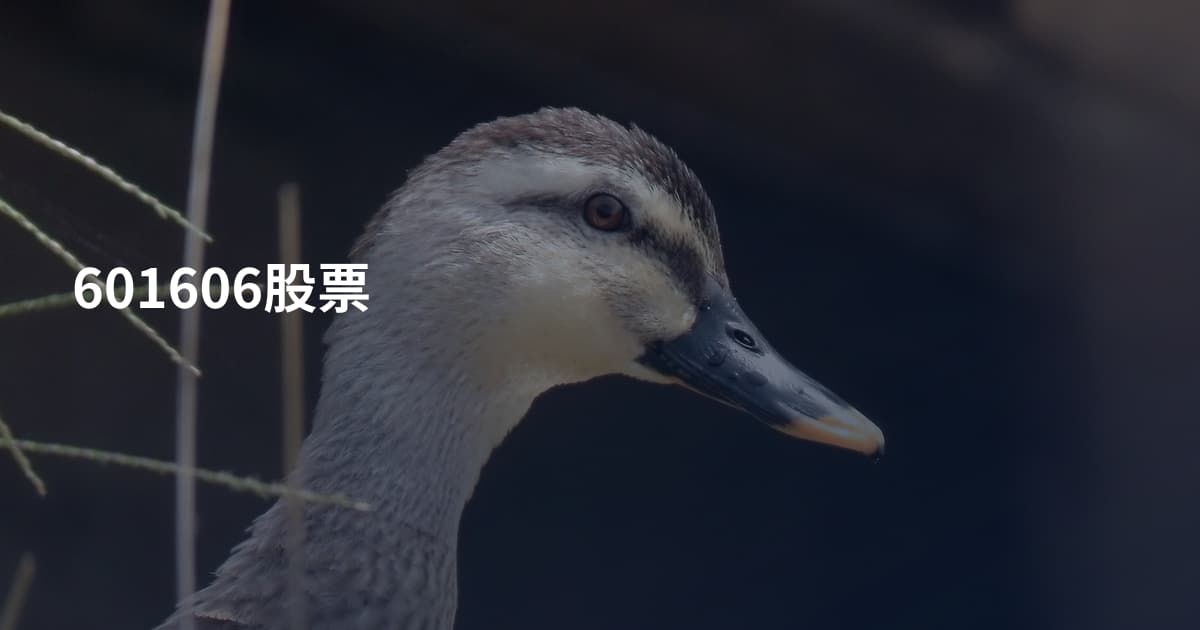 601606股票