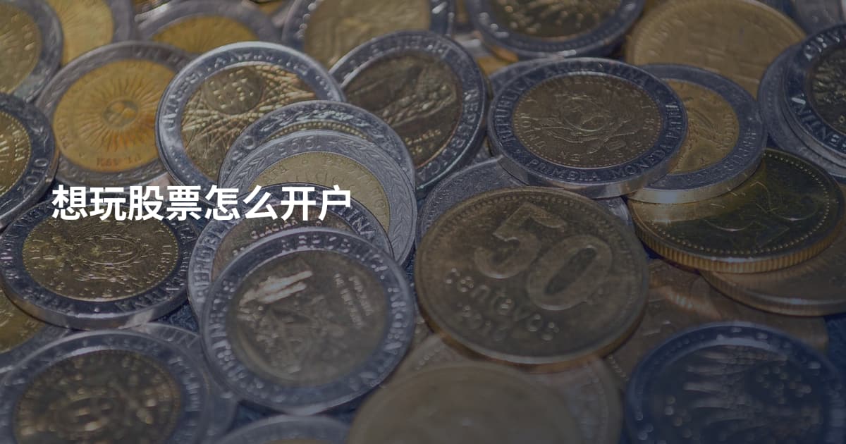 想玩股票怎么开户
