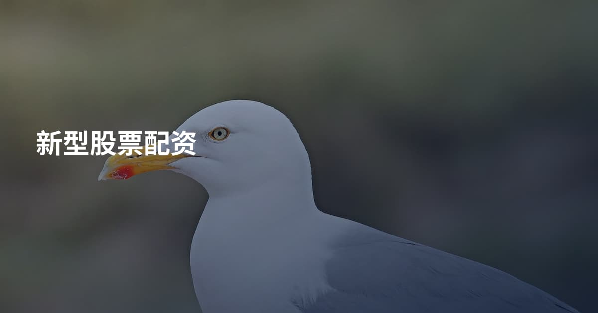 新型股票配资