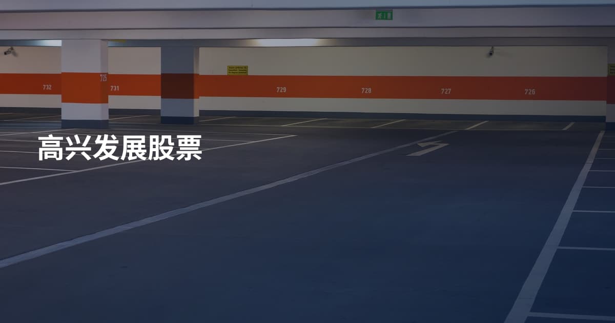 高兴发展股票