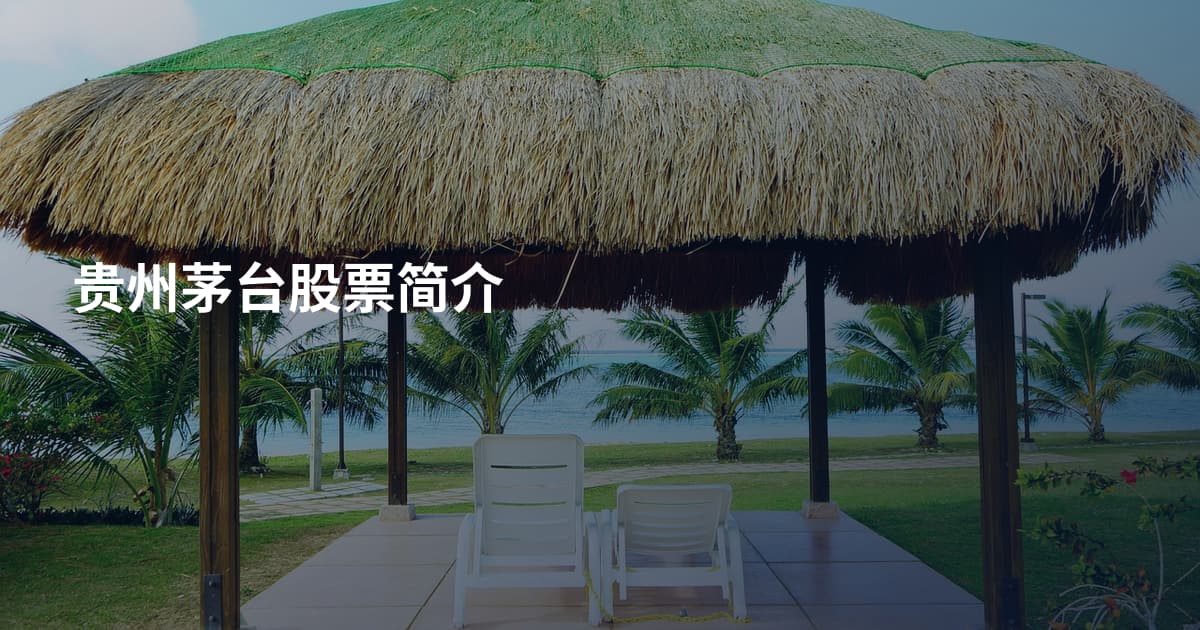贵州茅台股票简介