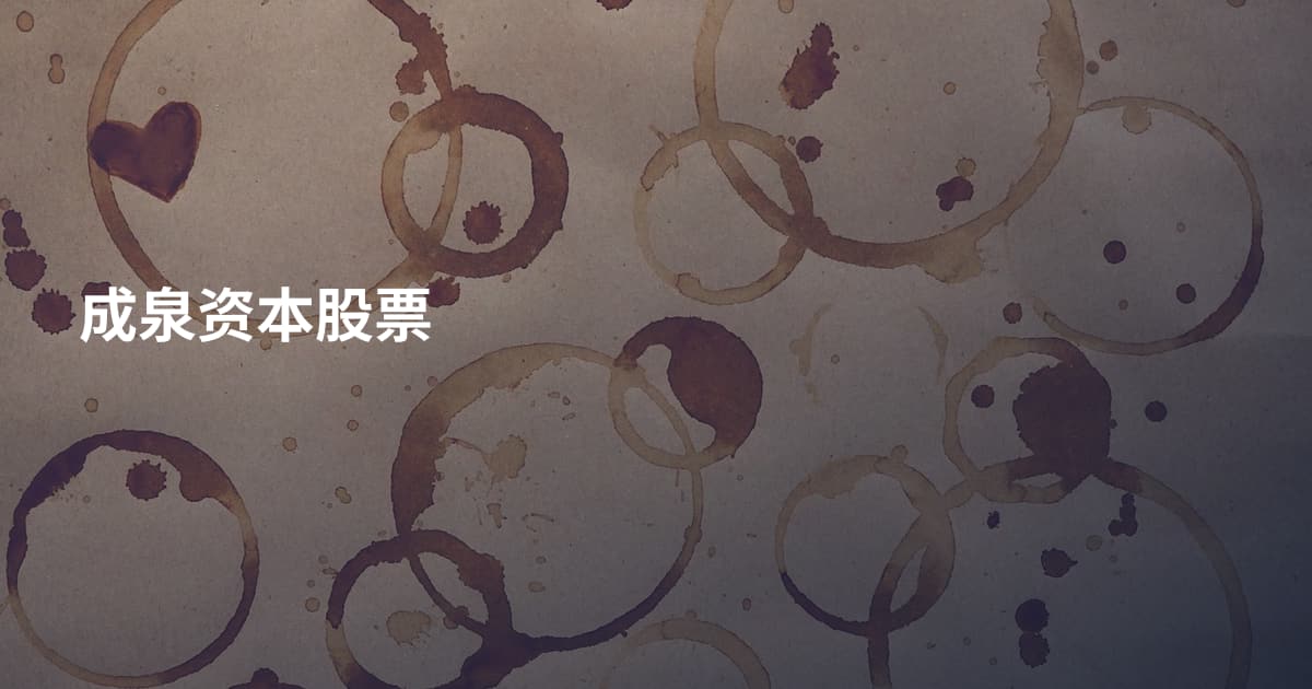 成泉资本股票