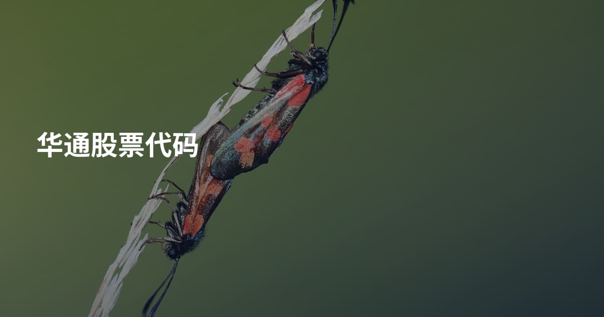 华通股票代码