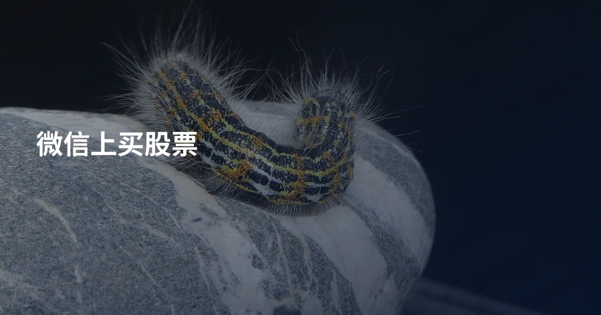 微信上买股票