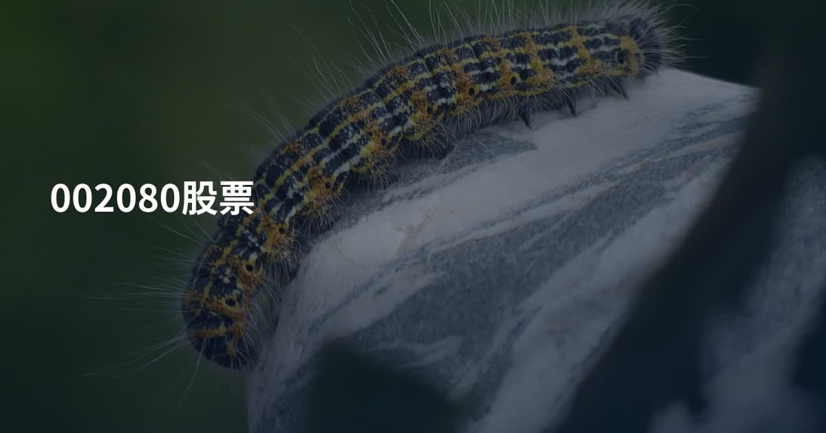 002080股票