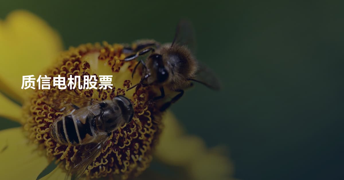 质信电机股票