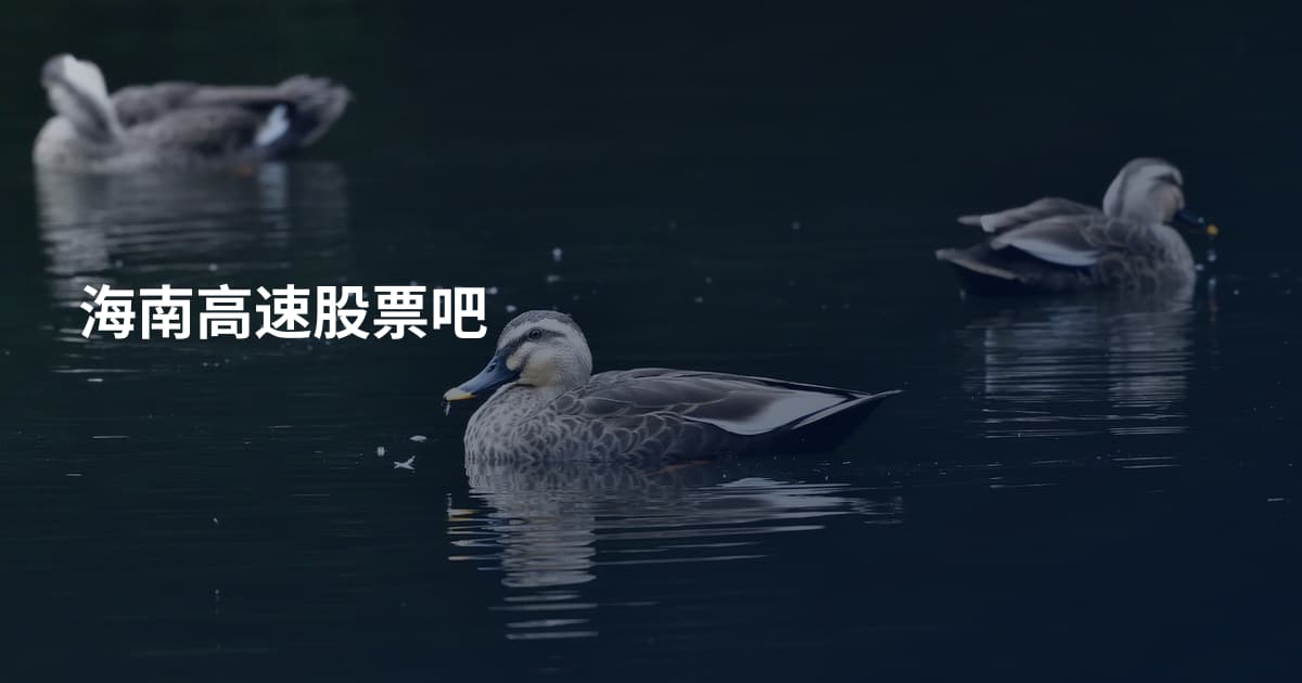海南高速股票吧