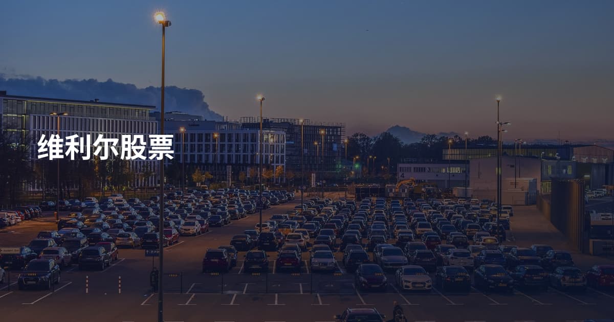 维利尔股票