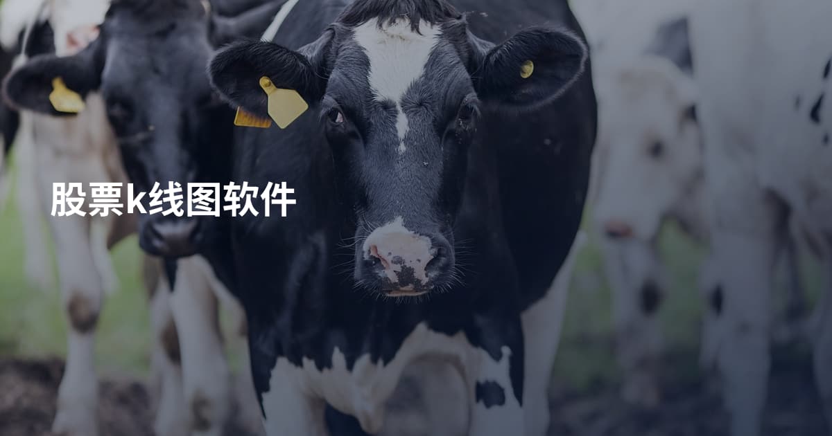 股票k线图软件