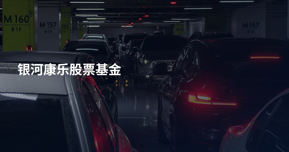 银河康乐股票基金