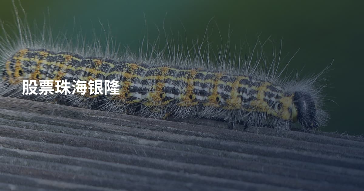 股票珠海银隆