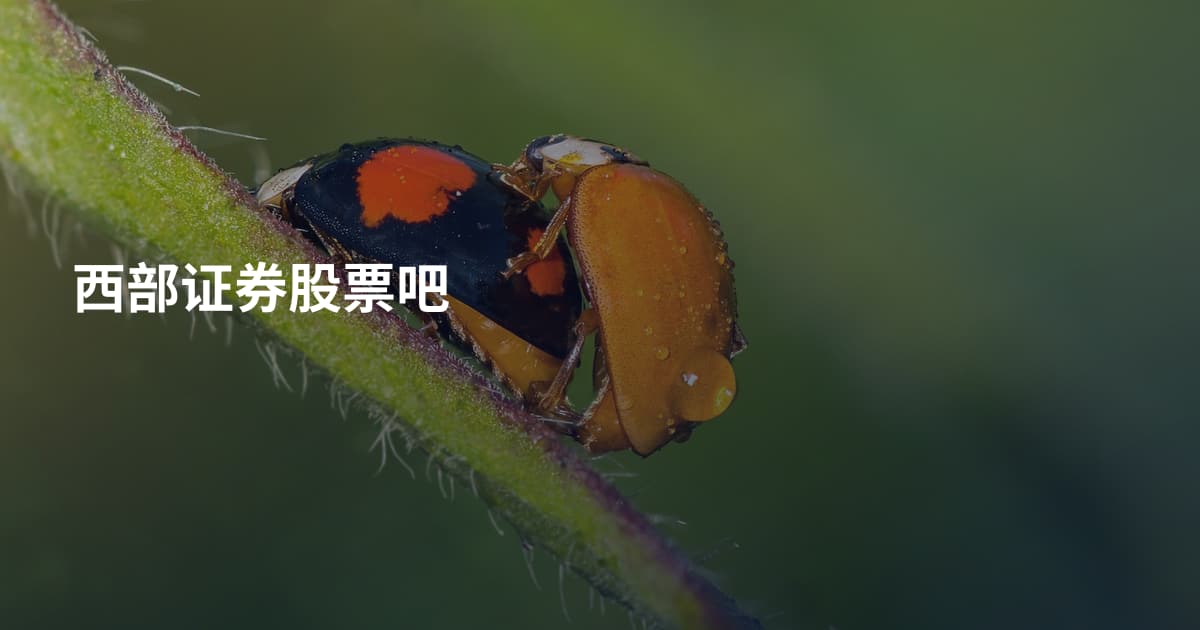 西部证券股票吧