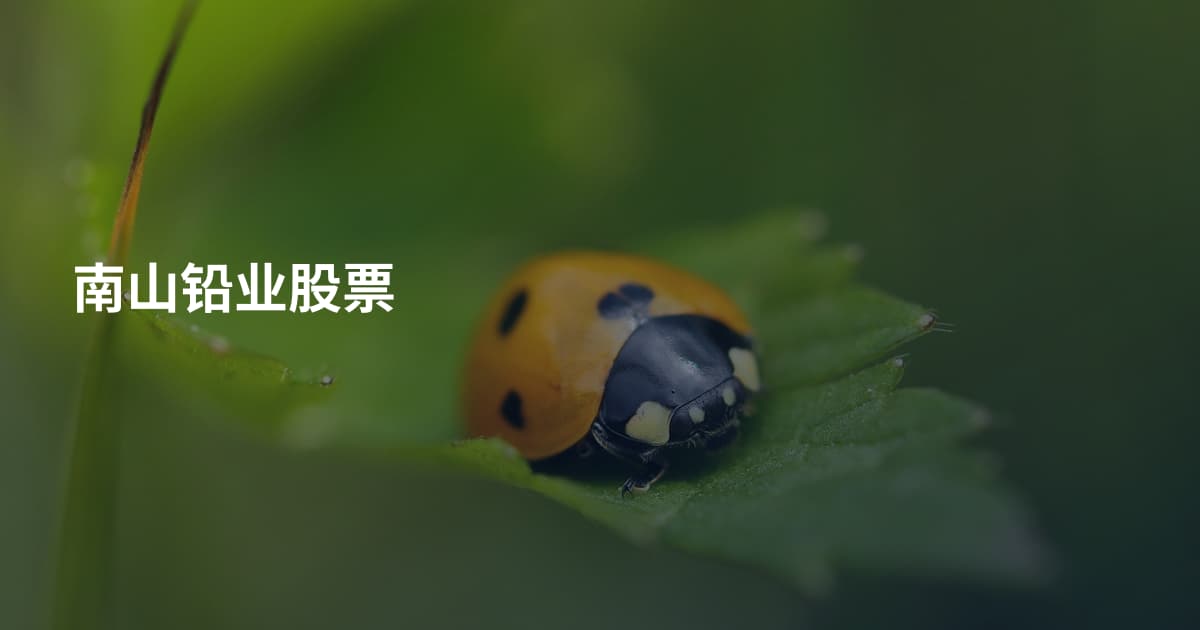 南山铅业股票