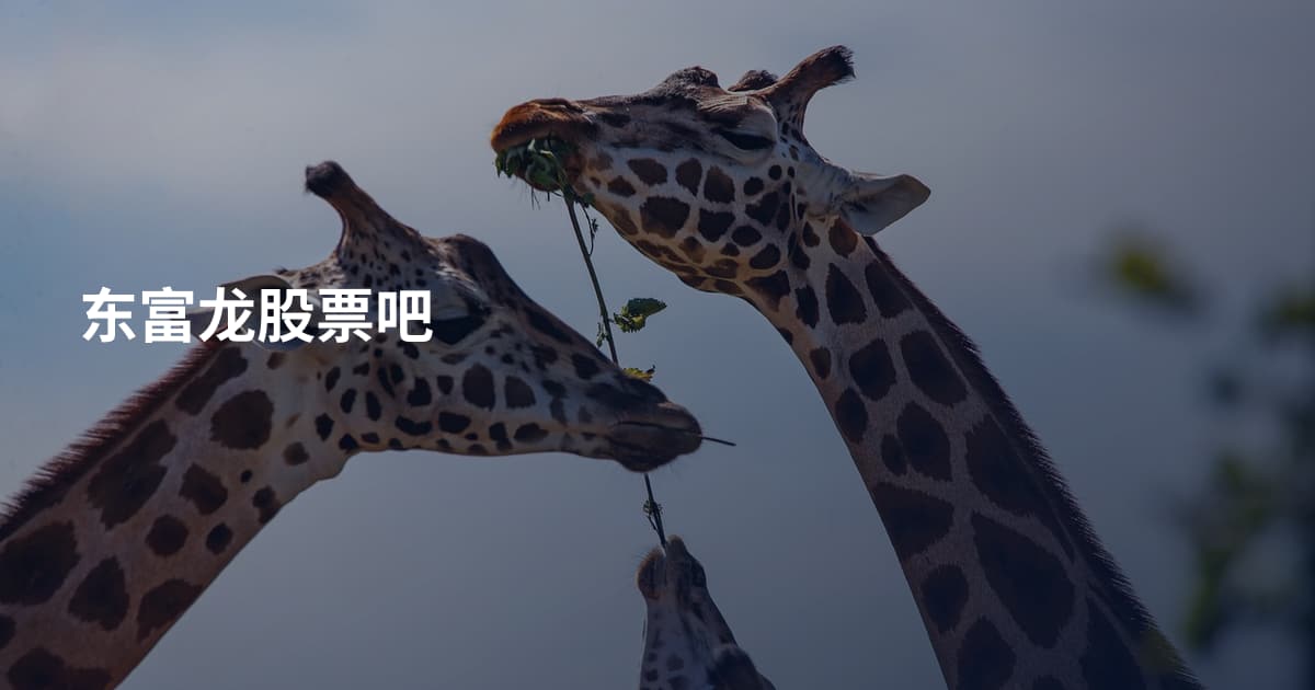 东富龙股票吧