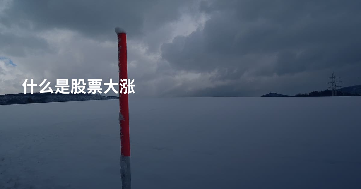 什么是股票大涨