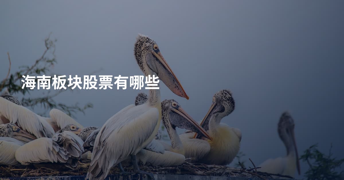 海南板块股票有哪些