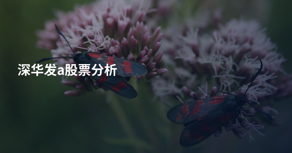 深华发a股票分析