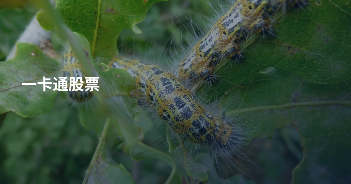 一卡通股票