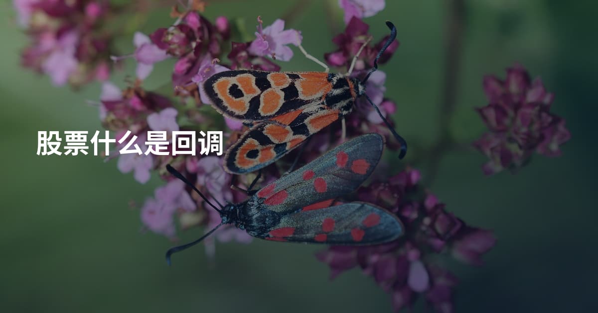 股票什么是回调