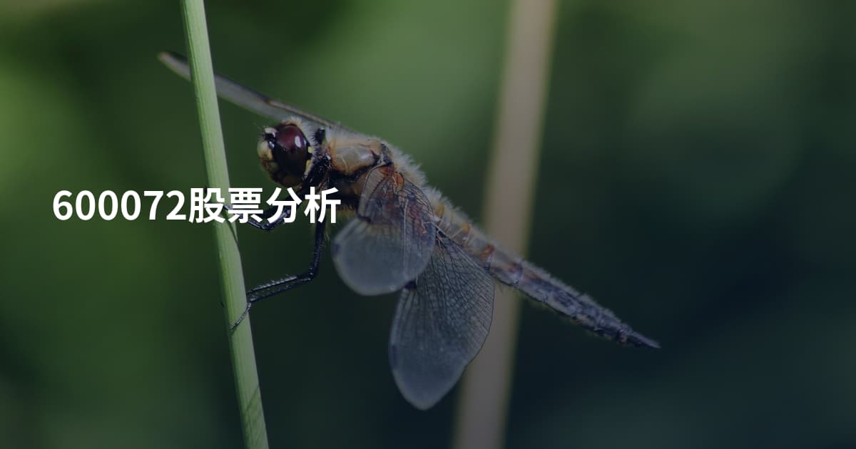 600072股票分析