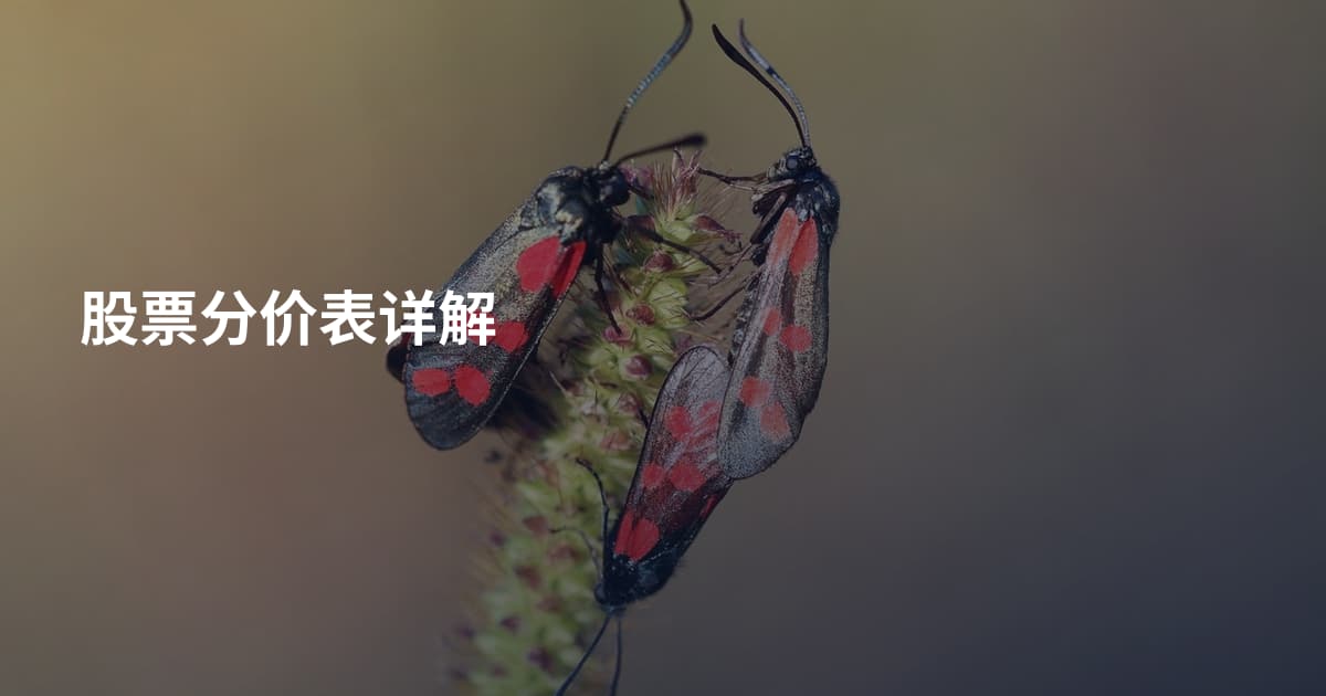 股票分价表详解