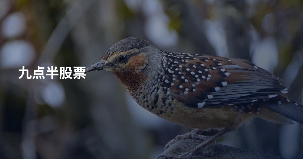 九点半股票