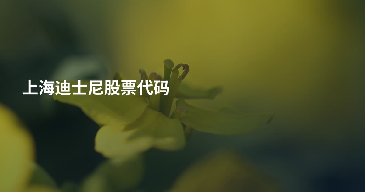 上海迪士尼股票代码