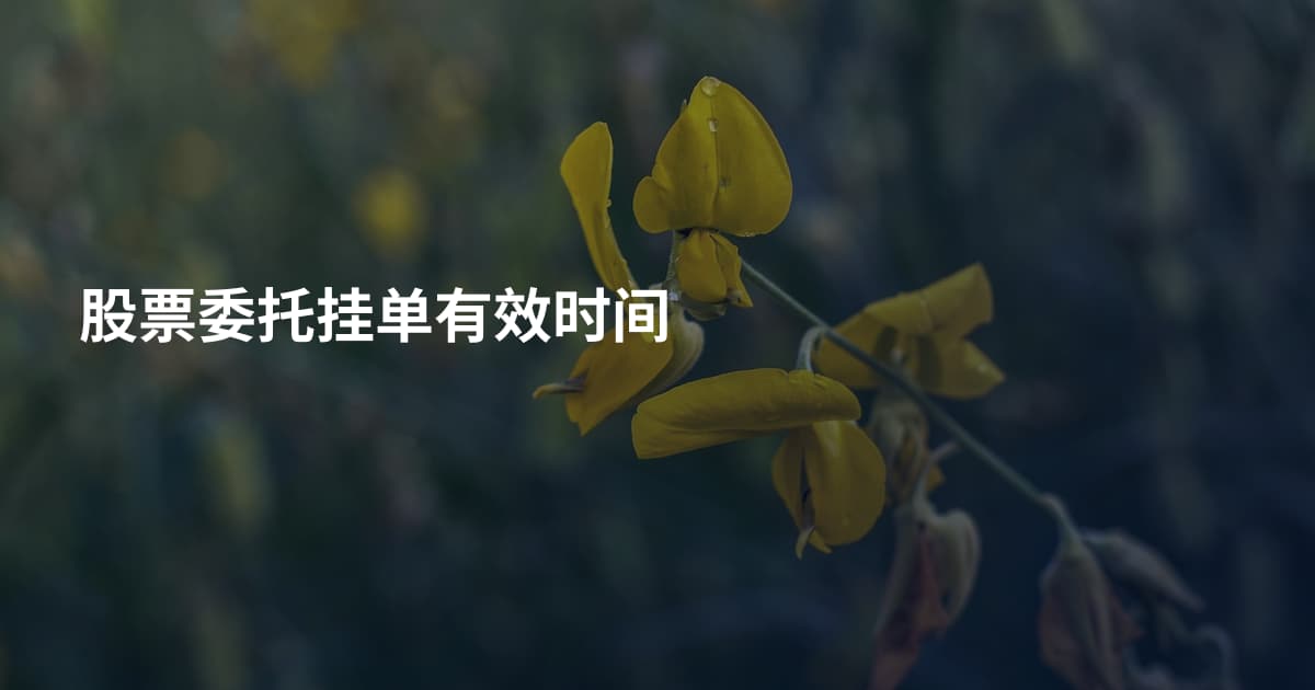 股票委托挂单有效时间