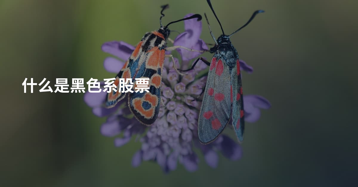 什么是黑色系股票