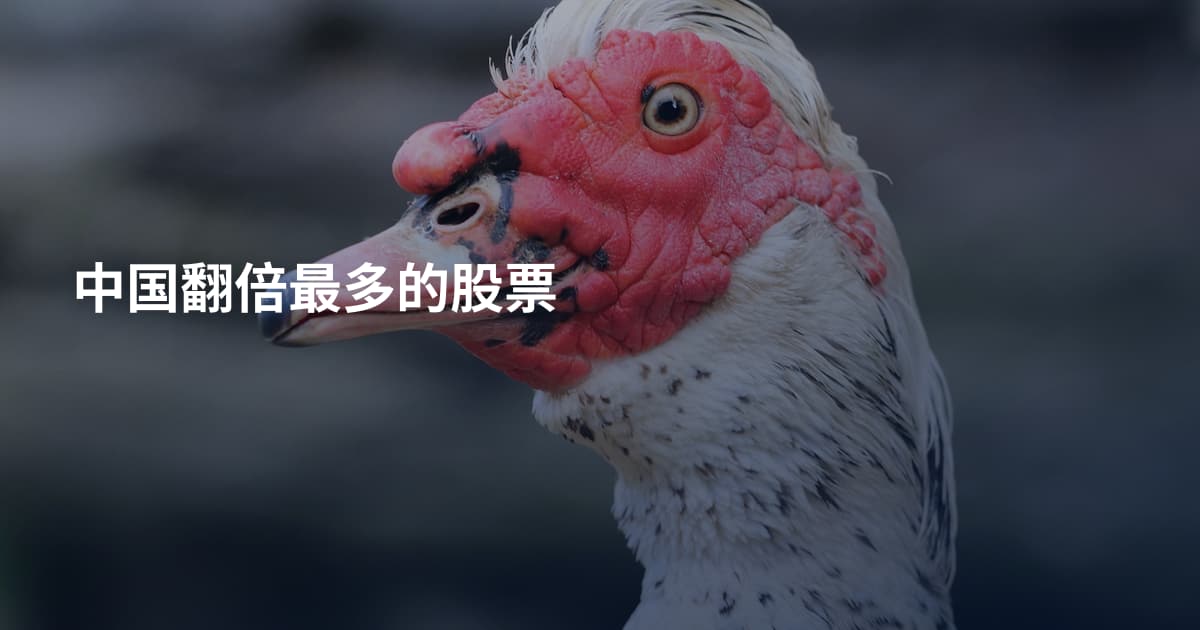 中国翻倍最多的股票