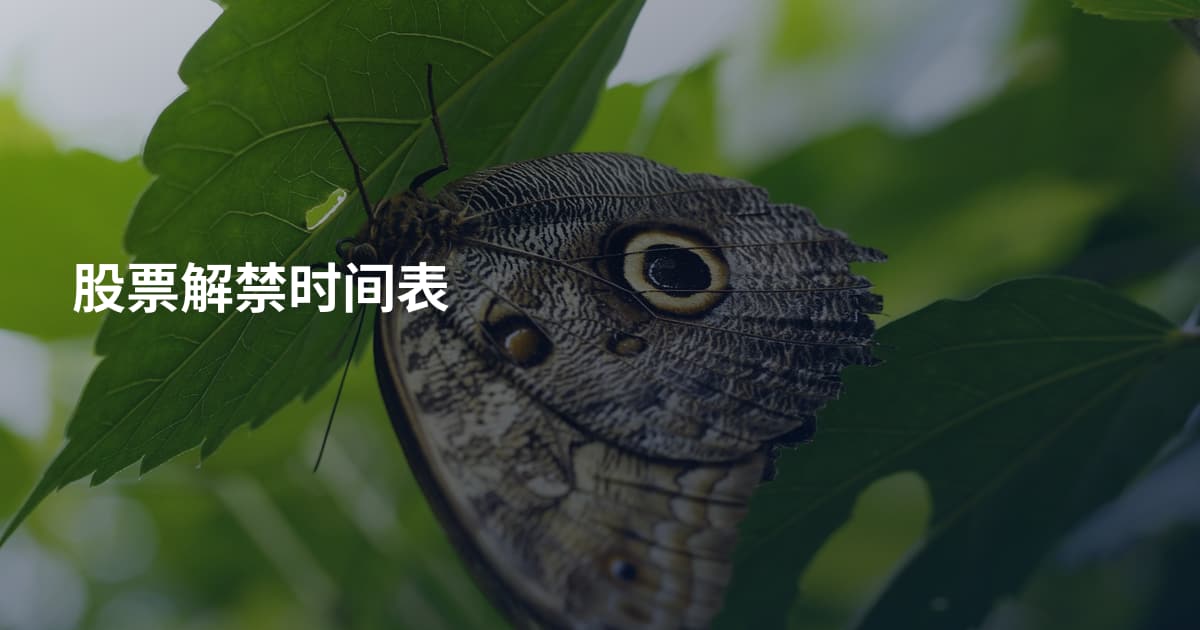 股票解禁时间表