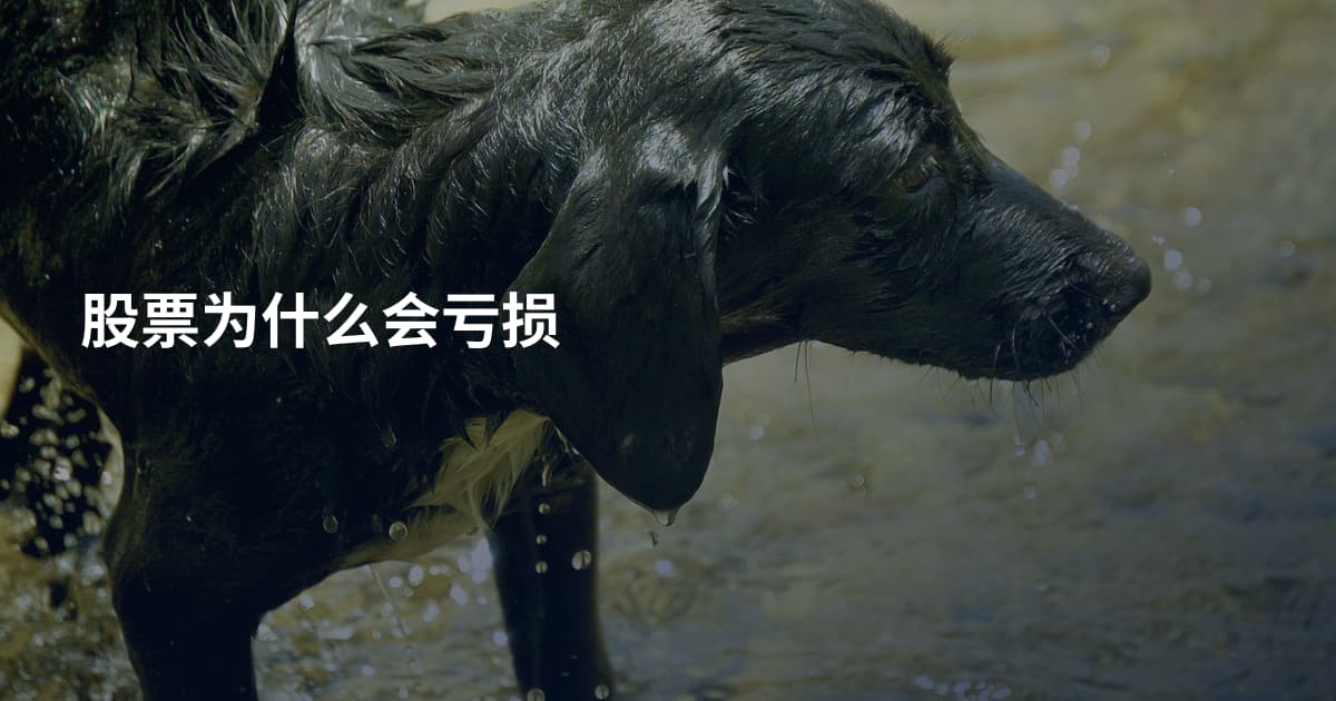 股票为什么会亏损