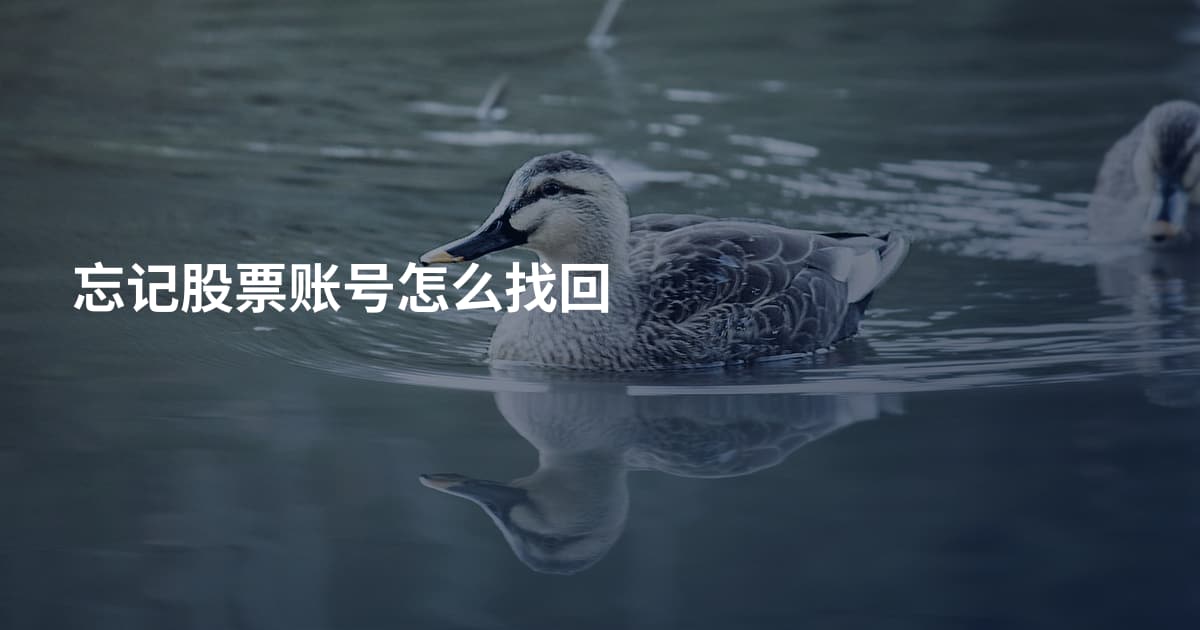 忘记股票账号怎么找回