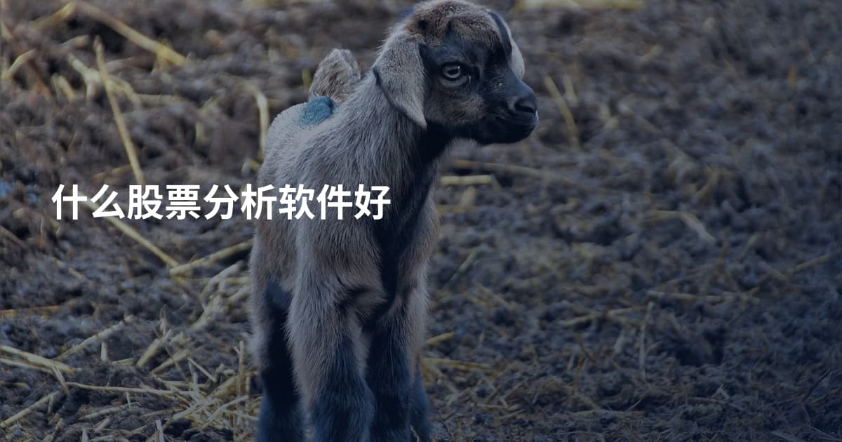 什么股票分析软件好