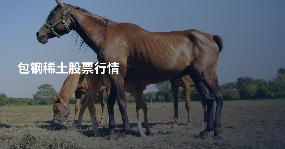 包钢稀土股票行情