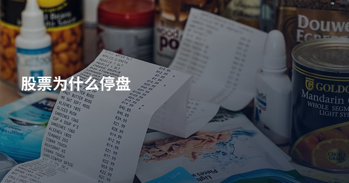 股票为什么停盘