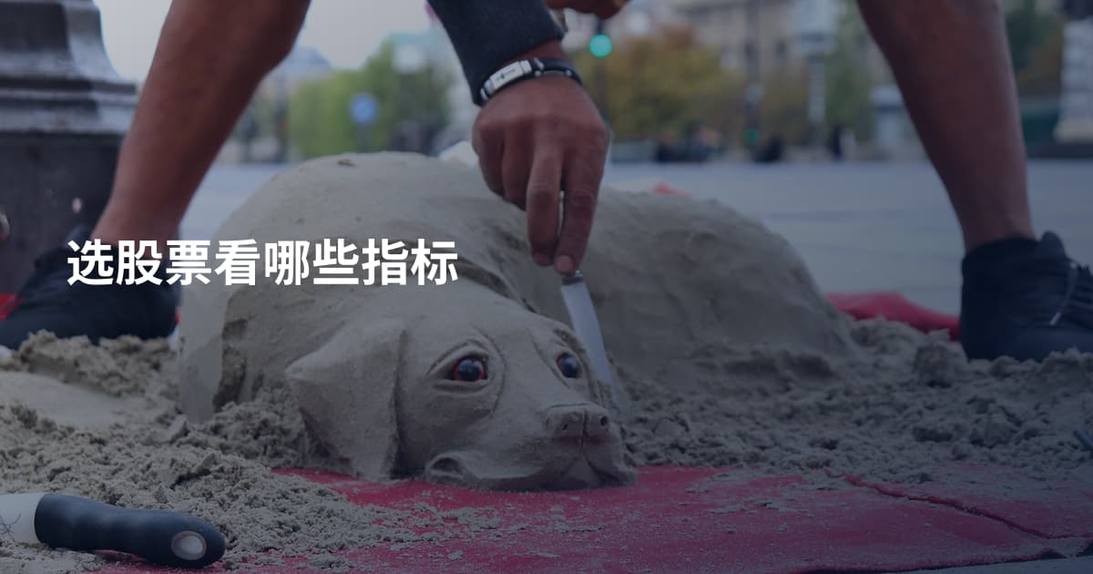选股票看哪些指标