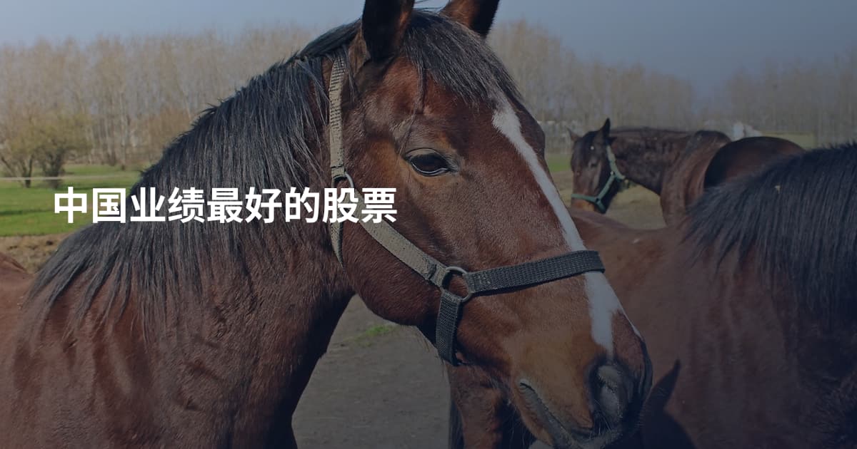 中国业绩最好的股票